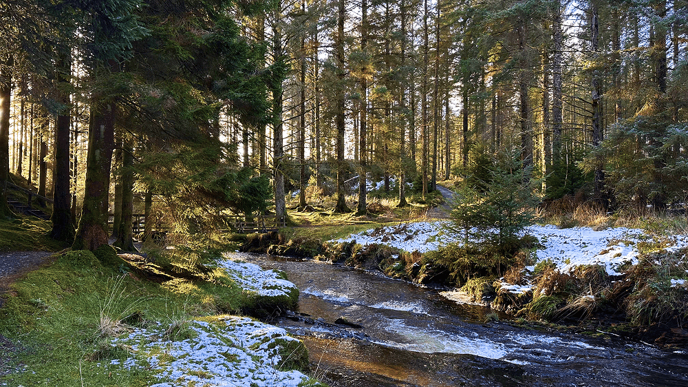 Winter Weekend in Wales hafren forest (1)