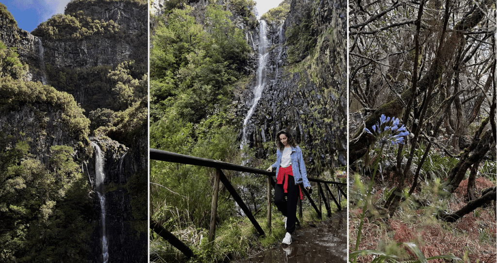 7 Days in Madeira: the Most Beautiful Island in the Atlantic risco waterfall