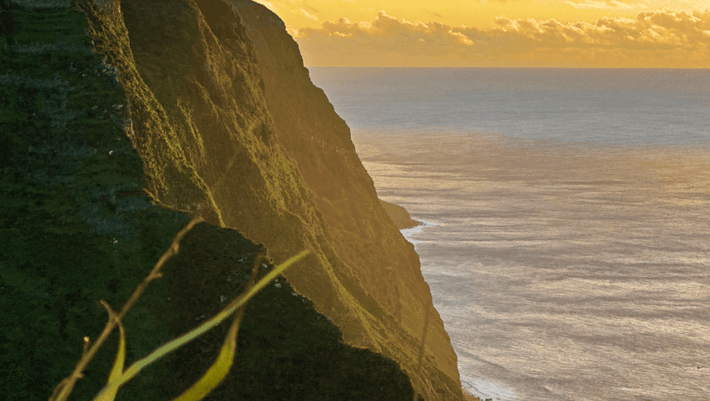 A high-angle view of lush, steep green cliffs plunging into the Atlantic Ocean on Madeira Island during a golden sunset, with soft waves hitting the rocky coastline.